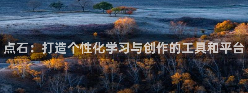 j9九游会app下载：点石：打造个性化学