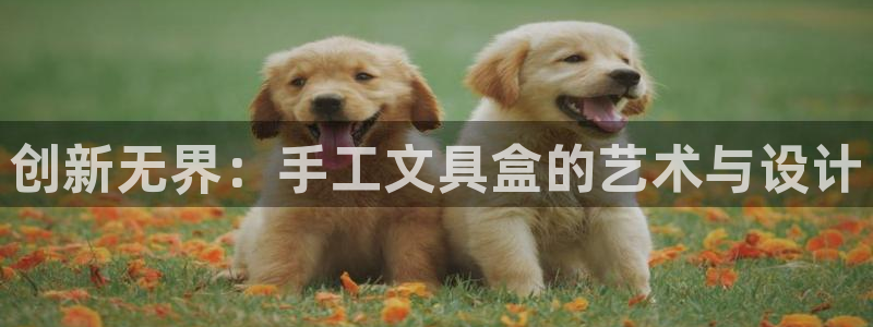 九游会和亚游：创新无界：手工文具盒的艺术