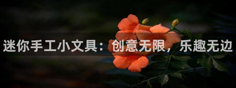 登录 九游会：迷你手工小文具：创意无限，