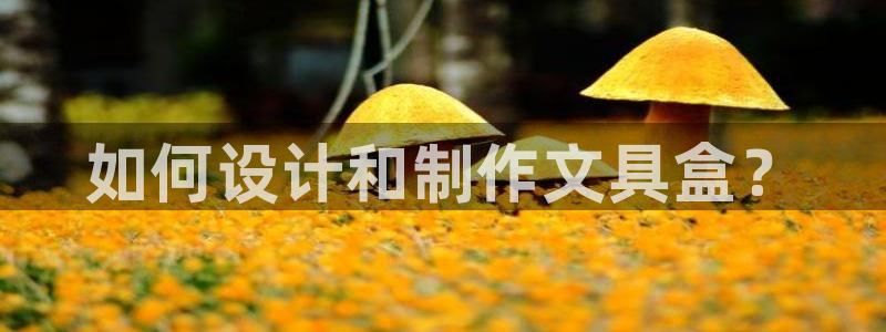 九游会气派：如何设计和制作文具盒？