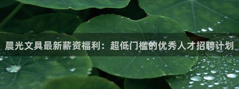 九阴手游青龙会怎么玩：晨光文具最新薪资福