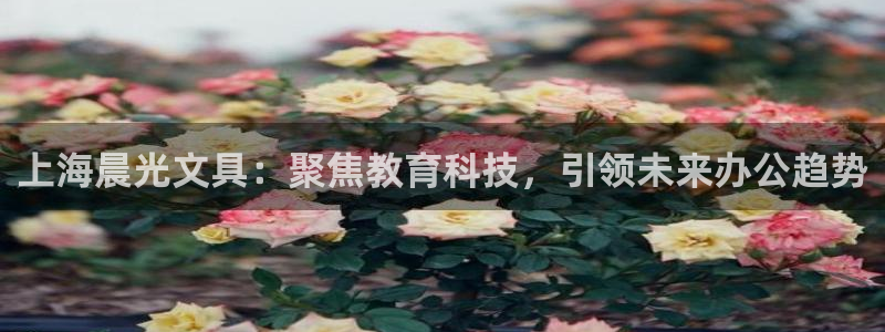 九游会电话