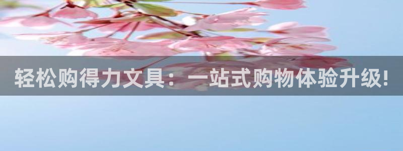 ja九游会
