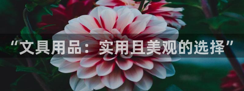 九游会最新入口：“文具用品：实用且美观的