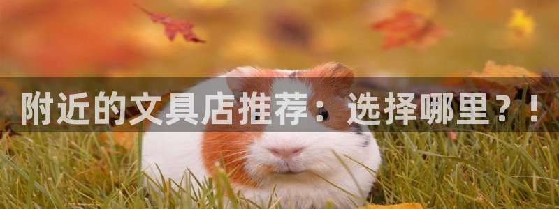 九游会网站网：附近的文具店推荐：选择哪里