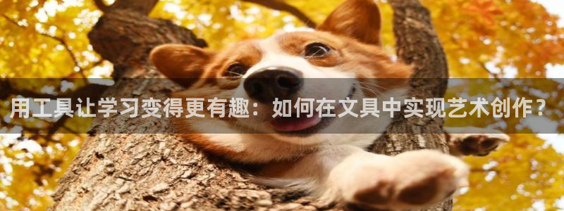 旧版九游会