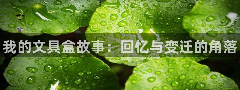 九游会直播登录：我的文具盒故事：回忆与变