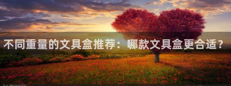 九游会棋牌牌：不同重量的文具盒推荐：哪款