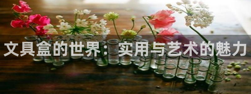 usdt九游会：文具盒的世界：实用与艺术