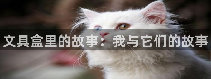 九游会街机：文具盒里的故事：我与它们的故