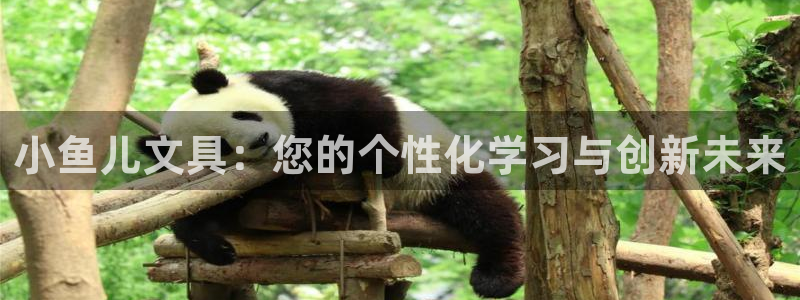 九游会俱乐部网址：小鱼儿文具：您的个性化