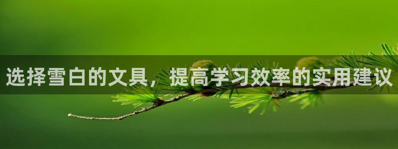 九游会j9娱乐官网：选择雪白的文具，提高