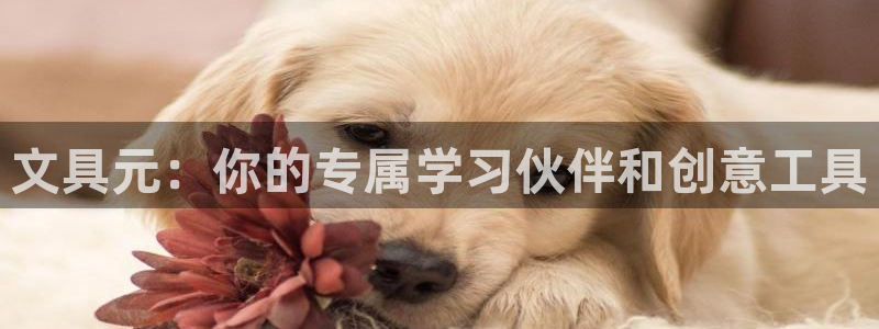 九游会盈盈：文具元：你的专属学习伙伴和创