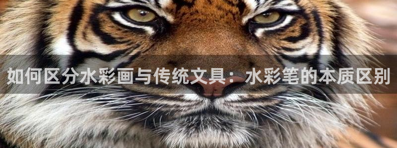 九游会官网平台是什么：如何区分水彩画与传