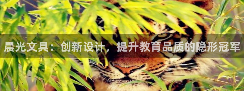 九游会软件下载：晨光文具：创新设计，提升