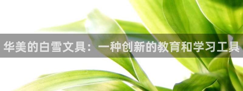 ag九游会只为非凡：华美的白雪文具：一种