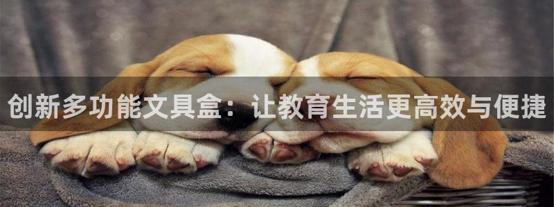 九游会国际 www：创新多功能文具盒：让