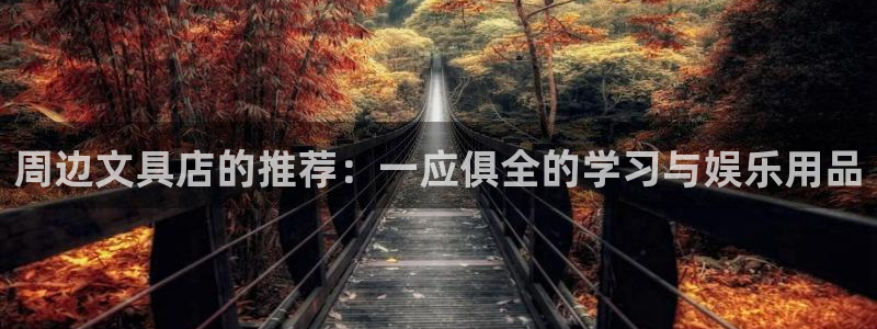 九游账号会丢吗：周边文具店的推荐：一应俱