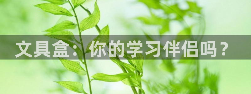 亚游集团九游会：文具盒：你的学习伴侣吗？