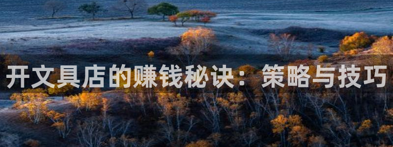 凯发九游会：开文具店的赚钱秘诀：策略与技