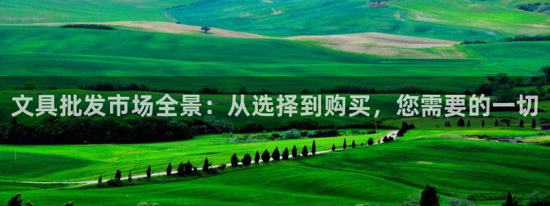 ga九游会：文具批发市场全景：从选择到购