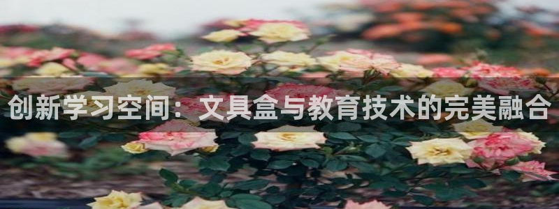 九游会官网平台：创新学习空间：文具盒与教