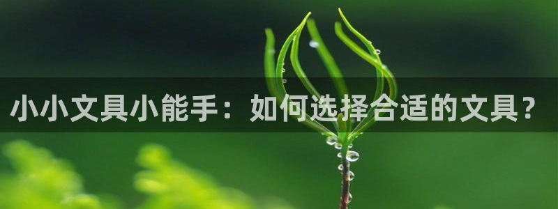 九游会盗号：小小文具小能手：如何选择合适