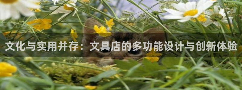 j9九游会官网：文化与实用并存：文具店的