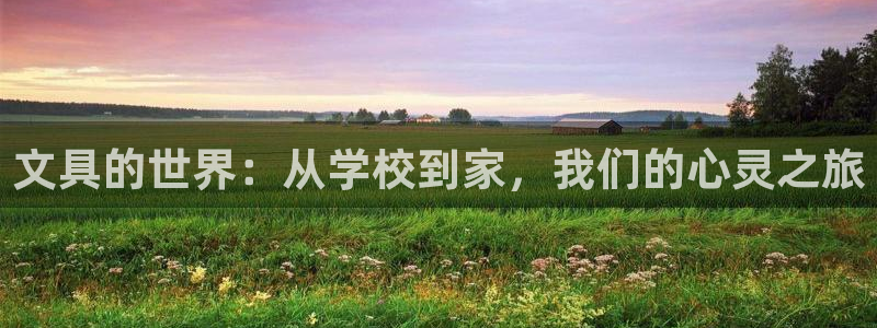 九游会网址国际：文具的世界：从学校到家，