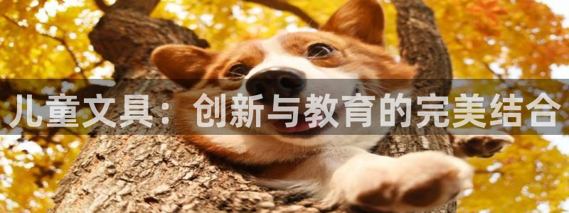 九游会吧：儿童文具：创新与教育的完美结合