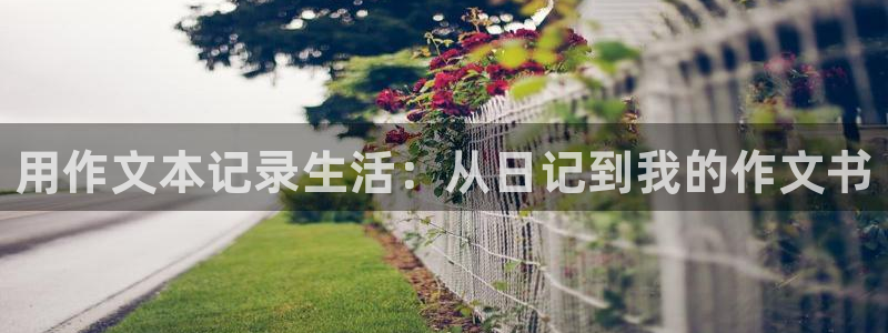 九游会官方下载：用作文本记录生活：从日记