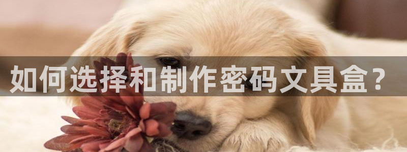 九游会手机版：如何选择和制作密码文具盒？