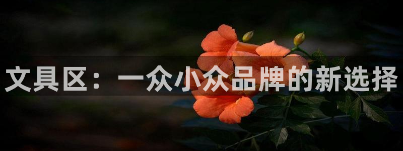 九游会网址登陆