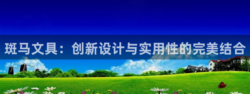 九游会网址：斑马文具：创新设计与实用性的
