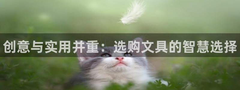 九游会微博：创意与实用并重：选购文具的智