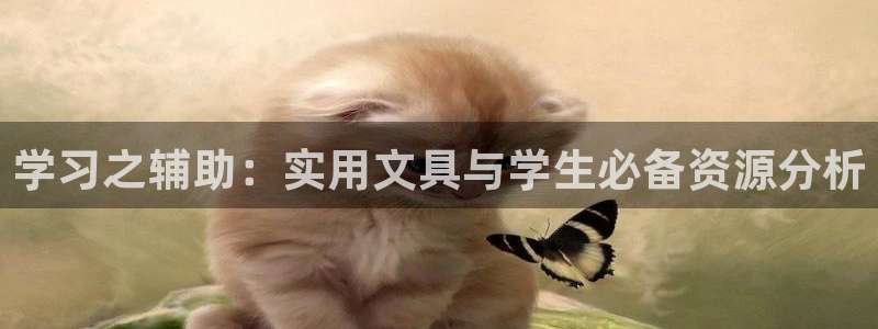 九游会网页下载：学习之辅助：实用文具与学