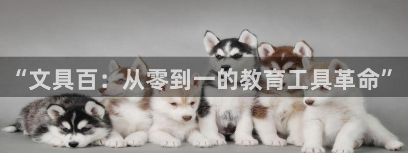 九游会倒闭吗：“文具百：从零到一的教育工