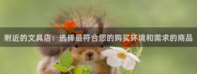 九游会平台官：附近的文具店：选择最符合您