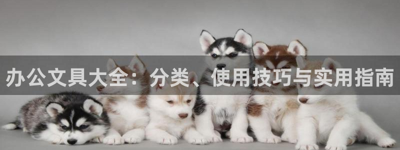 九游会登入：办公文具大全：分类、使用技巧