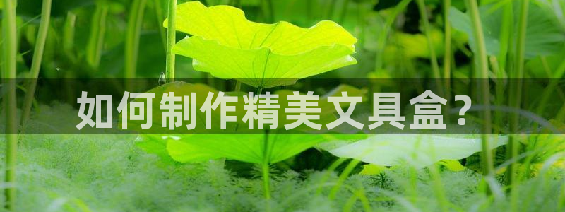 九游会黑网：如何制作精美文具盒？