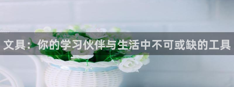 九游会备用入口：文具：你的学习伙伴与生活