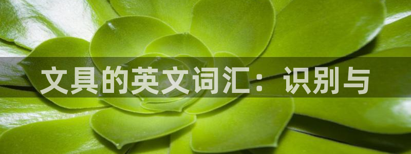 ag9九游会：文具的英文词汇：识别与