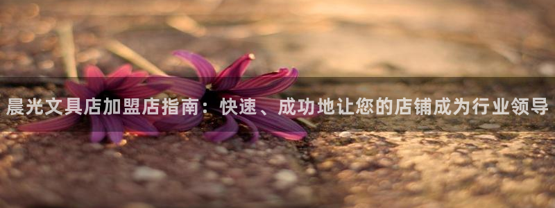 九游会怎么进入：晨光文具店加盟店指南：快