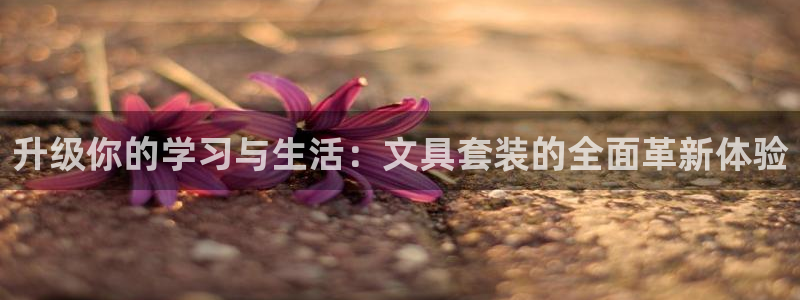 九游会网址九：升级你的学习与生活：文具套