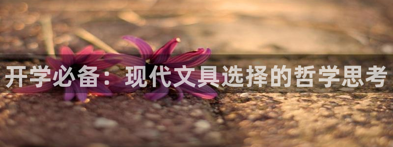 九游会 官网ag：开学必备：现代文具选择