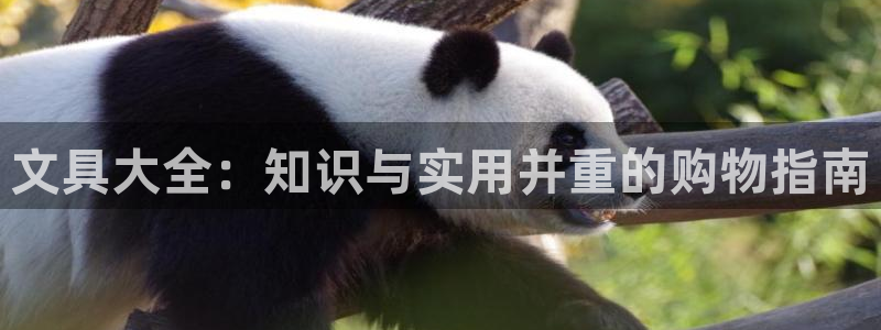 九游会j9登录：文具大全：知识与实用并重