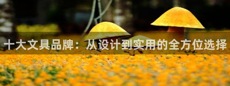 九游会全站：十大文具品牌：从设计到实用的