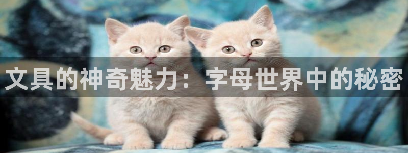 九游会登录地址错误吗：文具的神奇魅力：字