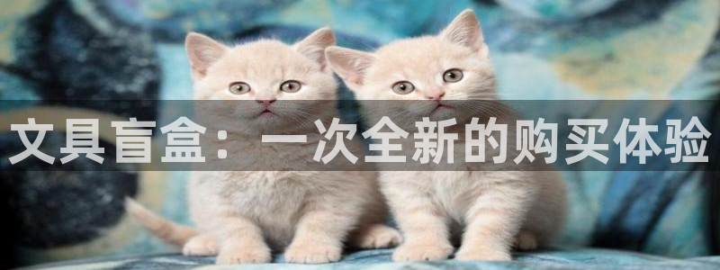 九游会新版：文具盲盒：一次全新的购买体验