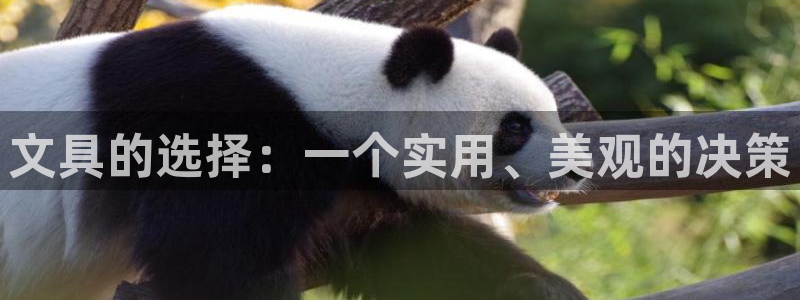 老哥会九游：文具的选择：一个实用、美观的